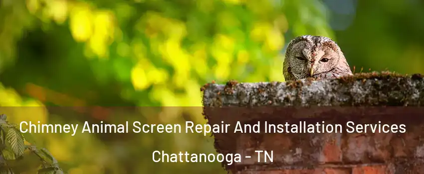  Chimney Animal Screen Repair And Installation Services Chattanooga - TN