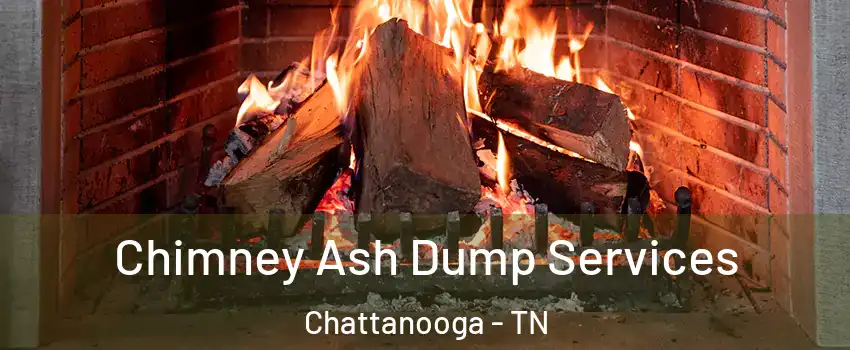  Chimney Ash Dump Services Chattanooga - TN
