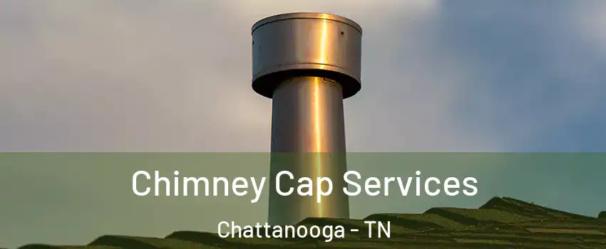  Chimney Cap Services Chattanooga - TN