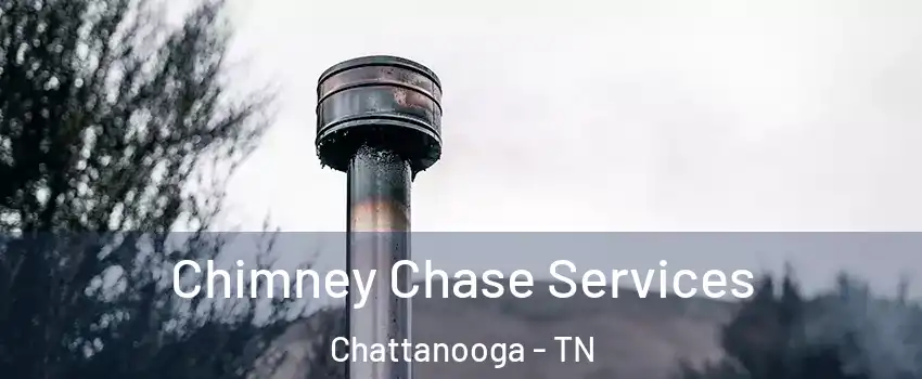  Chimney Chase Services Chattanooga - TN