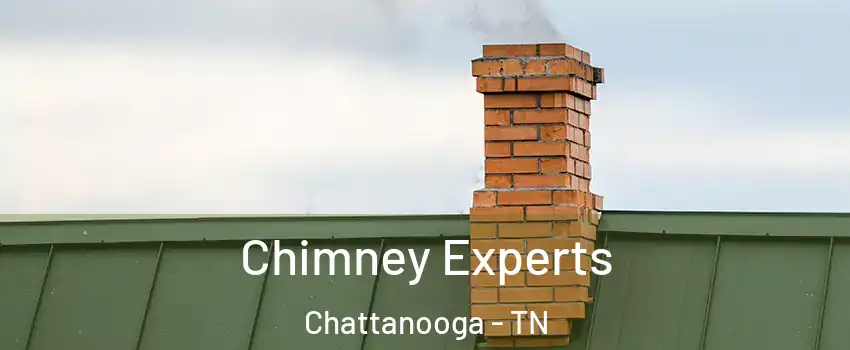  Chimney Experts Chattanooga - TN