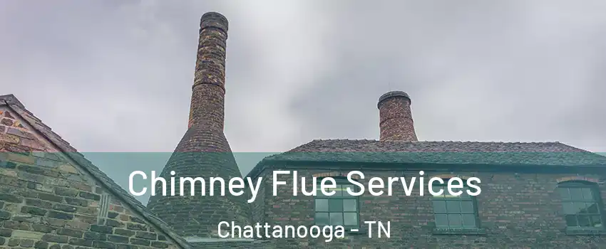  Chimney Flue Services Chattanooga - TN