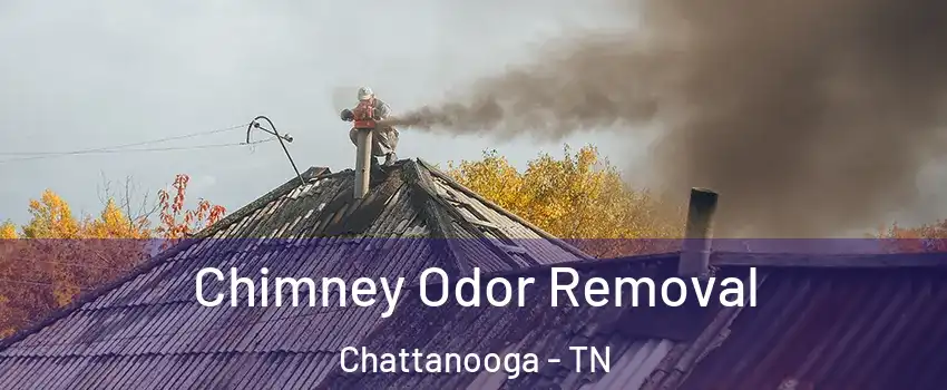  Chimney Odor Removal Chattanooga - TN