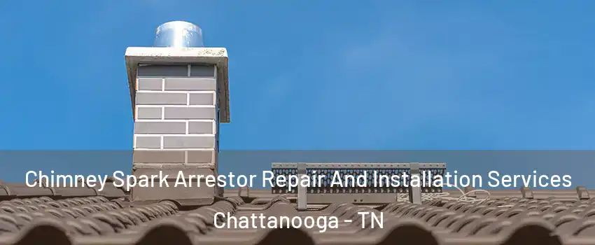  Chimney Spark Arrestor Repair And Installation Services Chattanooga - TN