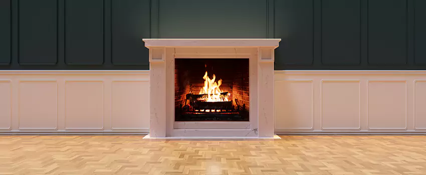Napoleon Electric Fireplaces Inspection Service in Chattanooga, Tennessee
