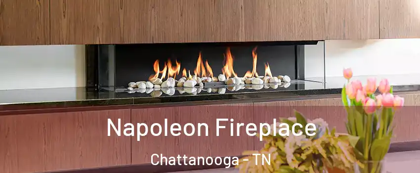  Napoleon Fireplace Chattanooga - TN