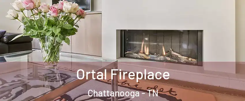  Ortal Fireplace Chattanooga - TN